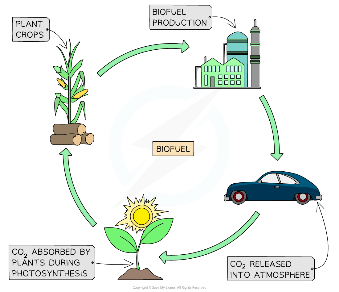 1-8-2-biofuels-cie-igcse-23-rn