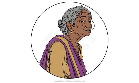 Illustrated head-and-shoulders portrait of Ila Das from Fire on the Mountain, an elderly woman with grey hair in a bun, in a mustard blouse and purple sari.