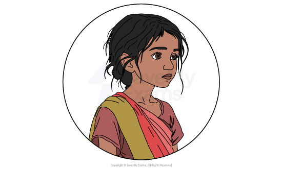 Illustrated head-and-shoulders portrait of Raka from Fire on the Mountain, a young girl with dark hair tied back, in a pink and olive sari.