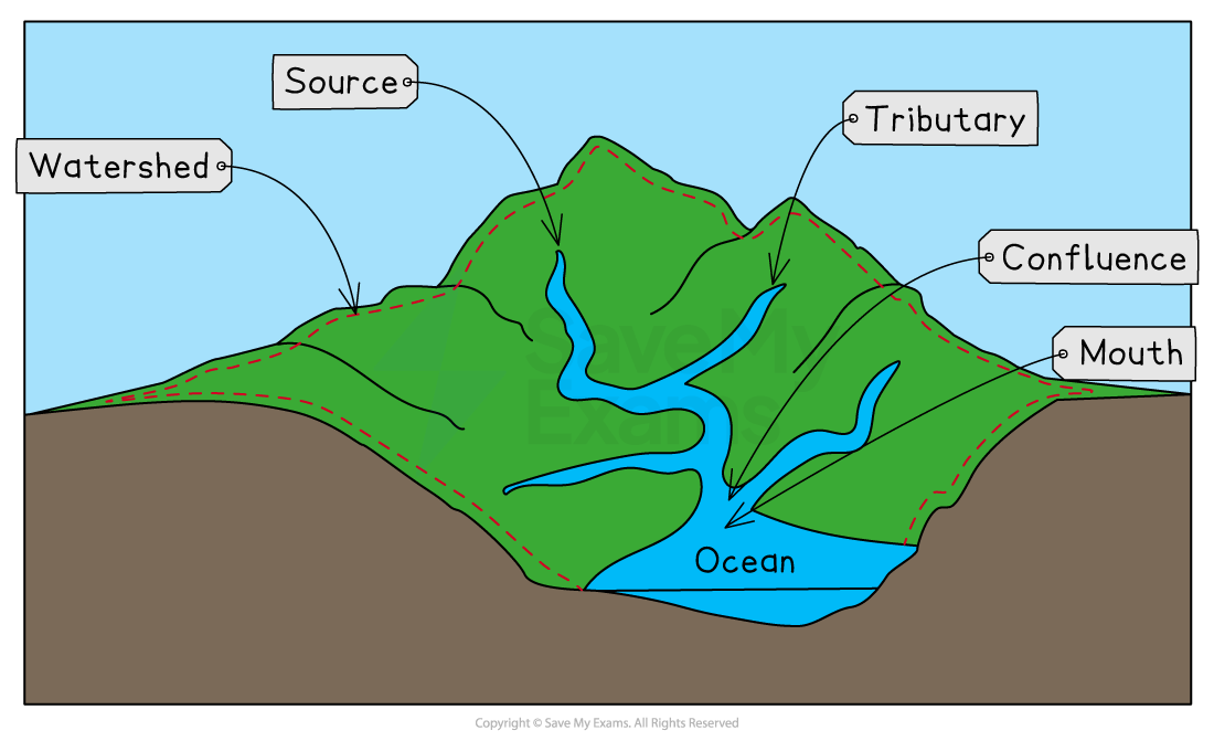 Diagram illustrating a river system with a labelled watershed, source, tributary, confluence, and mouth flowing into the ocean, depicted in a simplified landscape.