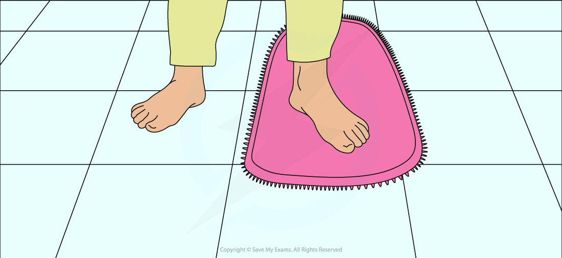2-3-1-demo-thermal-conduction-feet-on-rug-cie-igcse-23-rn