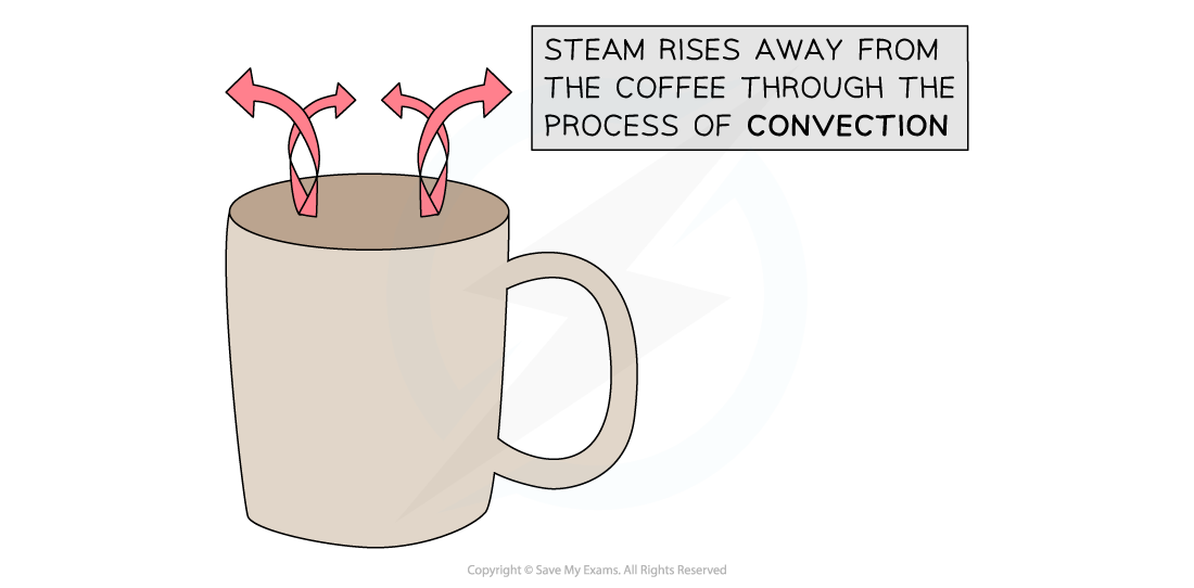 2-3-7-coffee-showing-only-convection-currents-cie-igcse-23-rn