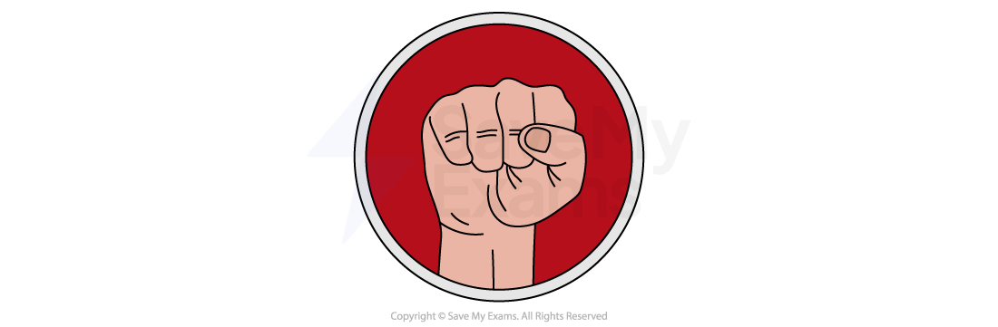 Illustration of a clenched fist in the centre of a red circle with a white border, symbolising strength and solidarity.
