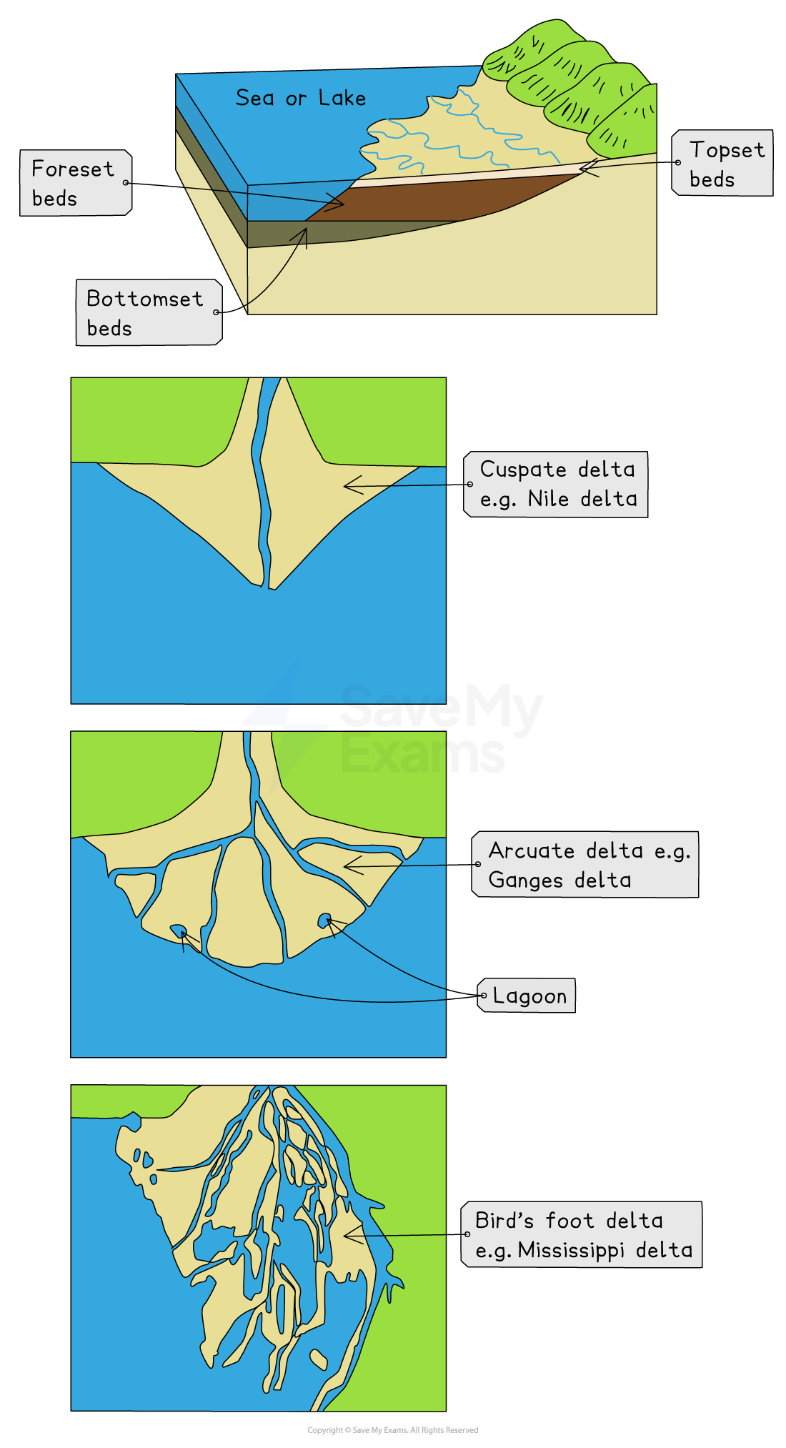 Diagram showing delta types: topset, foreset, bottomset beds; cuspatel delta (Nile), arcuate delta (Ganges), bird's foot delta (Mississippi).