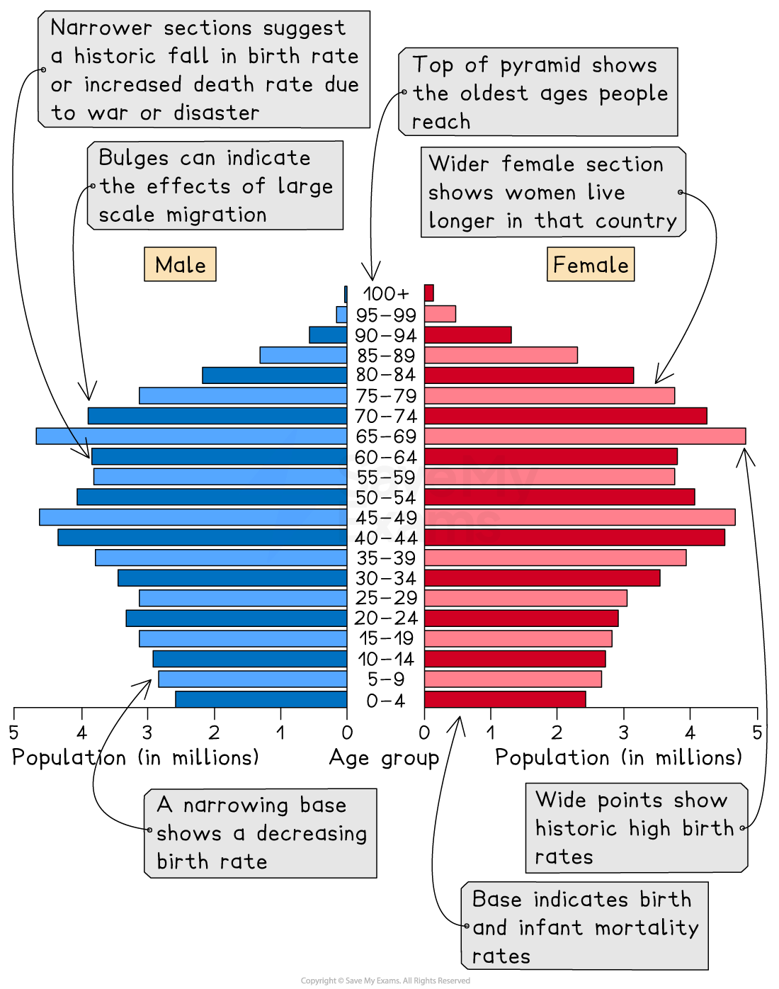 Population pyramid shows male and female age distribution, highlighting migration bulges, birth and death rates, and longevity differences.