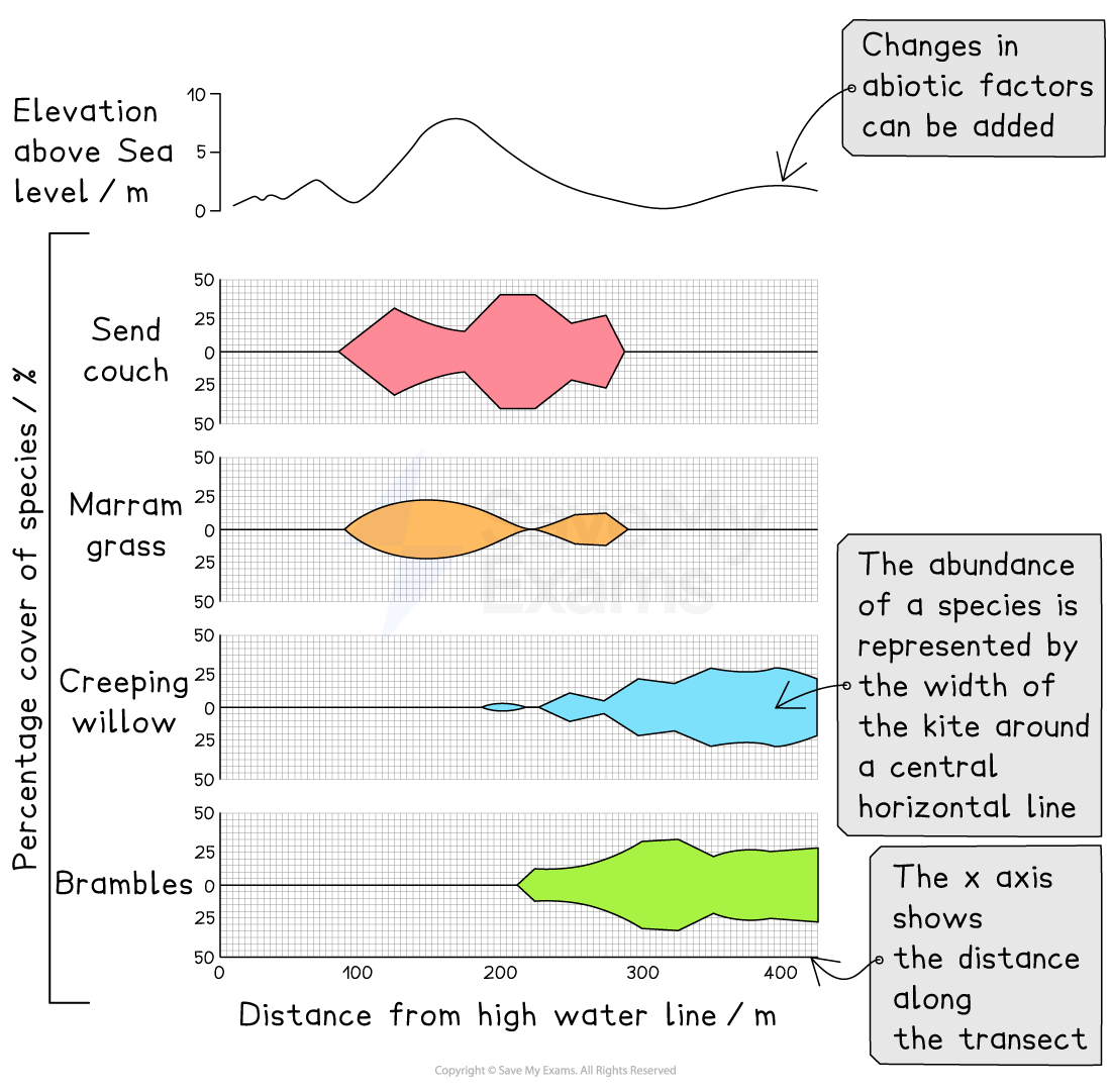 Graph showing species percentage cover against distance from high water line, with Send couch, Marram grass, Creeping willow, and Brambles in kite diagrams.