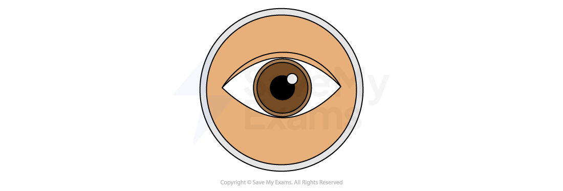 Imagery and symbolism icon: an eye in an orange circle, marking the section on recurring images, motifs and objects that stand for an idea.