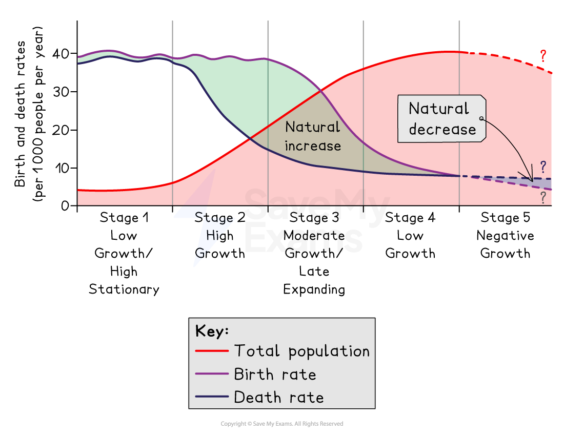 Demographic transition model chart showing birth, death, and total population rates across five stages from high stationary to negative growth.