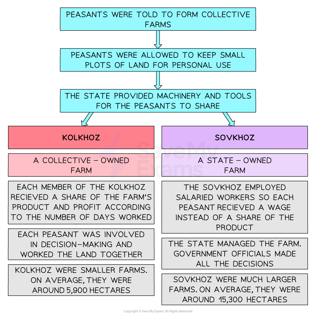 A flowchart explaining the structure and types of collective farms under Stalin’s collectivisation policy.

Top level (blue boxes):

Peasants were told to form collective farms.

They were allowed to keep small personal plots.

The state provided shared machinery and tools.

Two branches follow:

Left Branch – Kolkhoz (pink/red):

A collective-owned farm.

Members received a share of the farm’s output and profit, based on days worked.

Peasants jointly made decisions and worked together.

Kolkhozes were smaller, averaging 5,900 hectares.

Right Branch – Sovkhoz (purple):

A state-owned farm.

Peasants were salaried workers paid a wage instead of receiving a share.

All decisions were made by government officials.

Sovkhozes were larger, averaging 15,300 hectares.