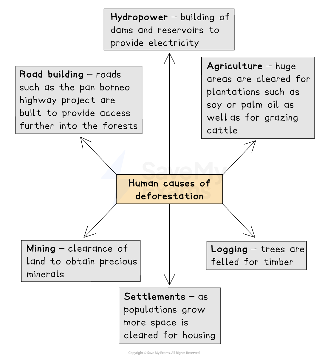 Flowchart showing human causes of deforestation: hydropower, agriculture, logging, settlements, mining, and road building, each with explanations.