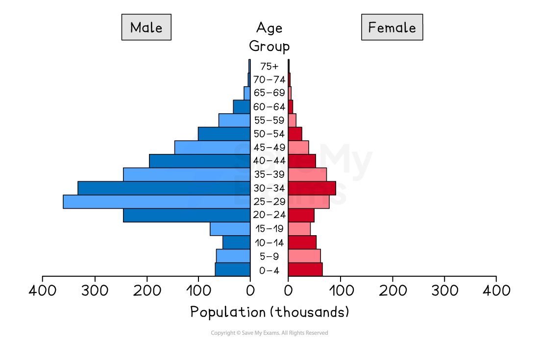 Population pyramid depicting age distribution in thousands, divided into male (blue) and female (red) groups, showing larger young male population.