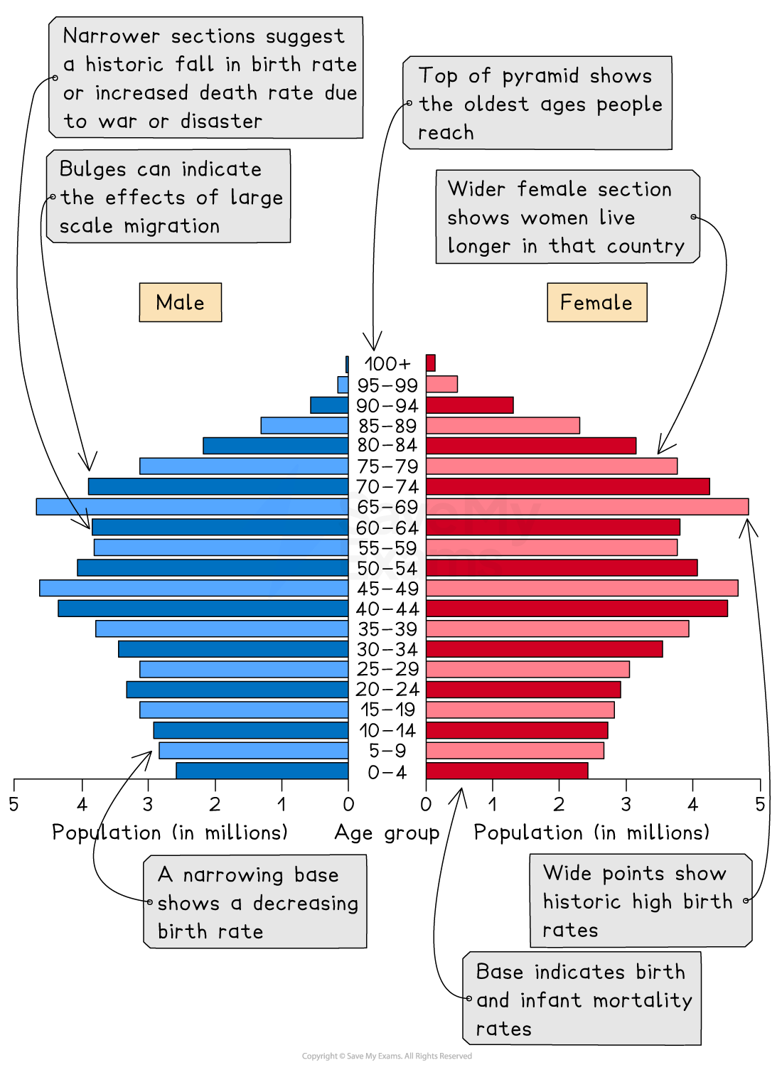 Population pyramid with blue male and red female sections showing age distribution, migration effects, birth and death rates, and gender longevity differences.