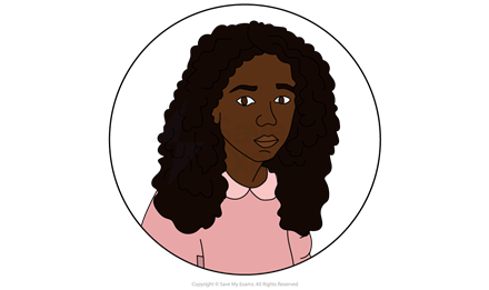 Princess - character exploration and analysis for Princess & The Hustler for AQA GCSE English Literature.