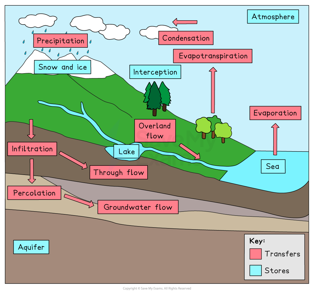 Diagram of the water cycle, showing precipitation, evaporation, condensation, with flows and stores like lake, aquifer, sea, and evapotranspiration.
