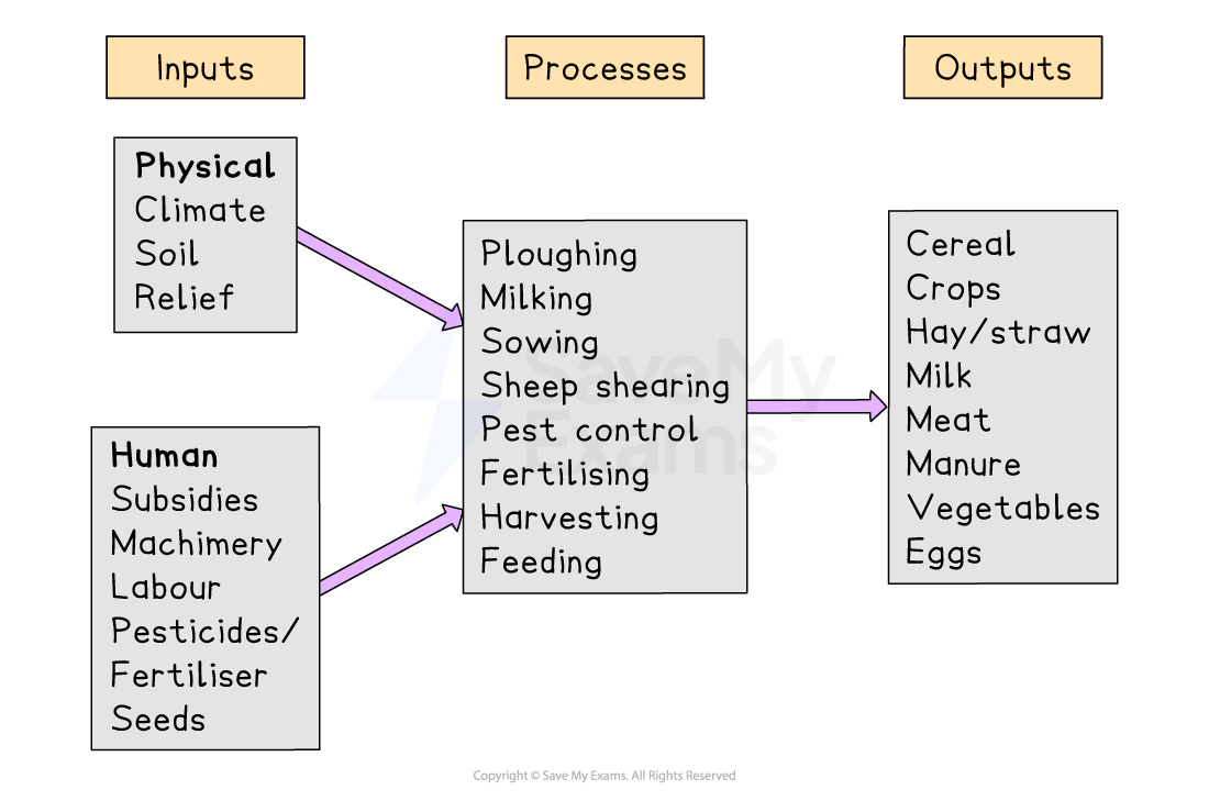 Flowchart showing farming inputs (physical and human), processes (ploughing, milking, etc.), and outputs (crops, milk, meat, eggs).
