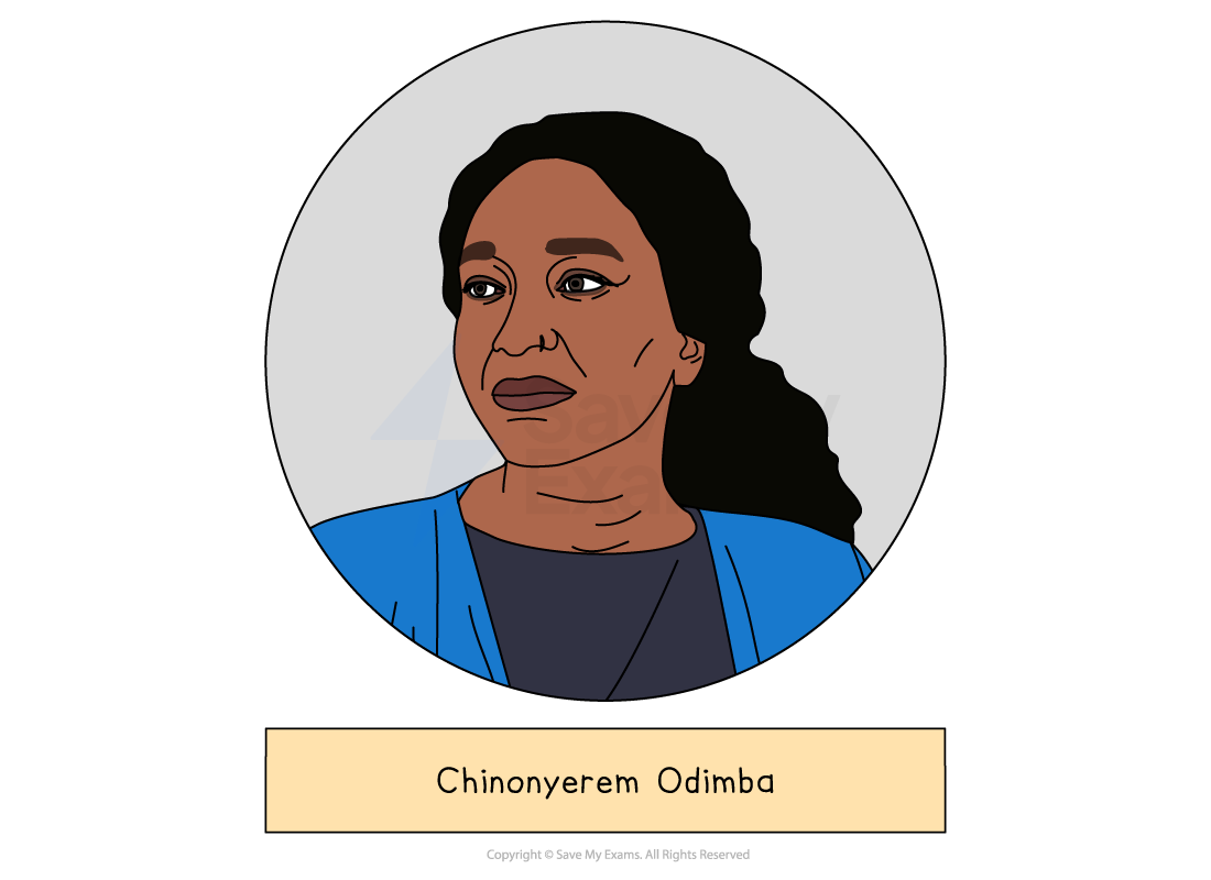 Illustrated head-and-shoulders portrait of Chinonyerem Odimba, who wrote The Princess and the Hustler, drawn in a grey circle above a label giving the name.
