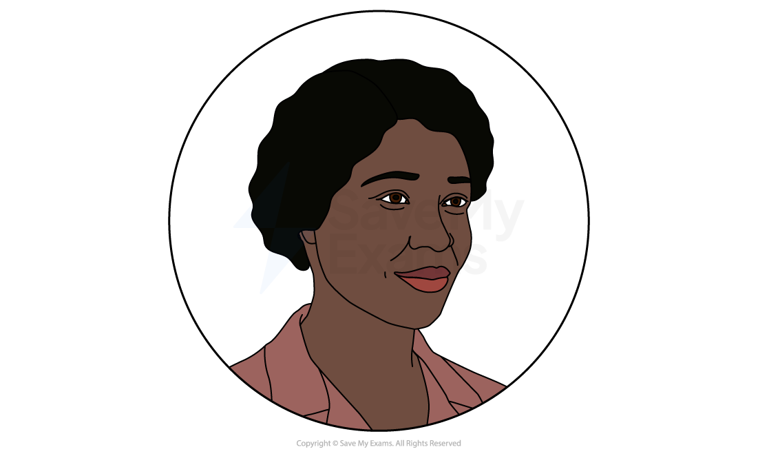 Illustrated head-and-shoulders portrait of Delia from Blues for an Alabama Sky, a woman with dark curly hair in a pink collared jacket.