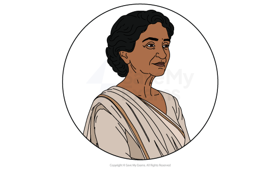 Illustrated head-and-shoulders portrait of Nanda Kaul from Fire on the Mountain, an elderly woman with short wavy hair, wearing a cream sari.