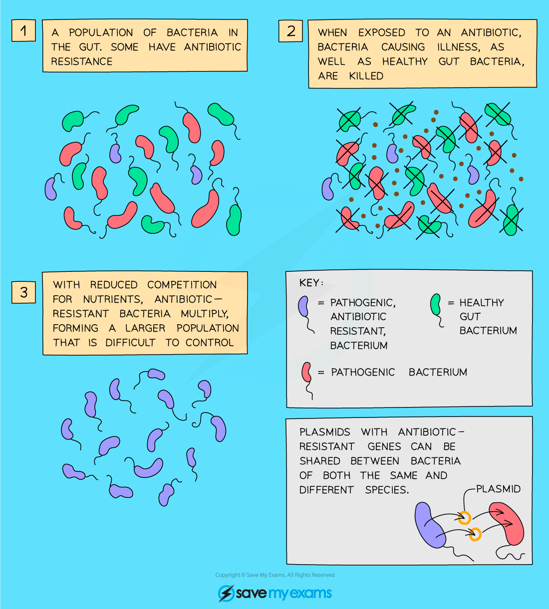 Antibiotic resistance
