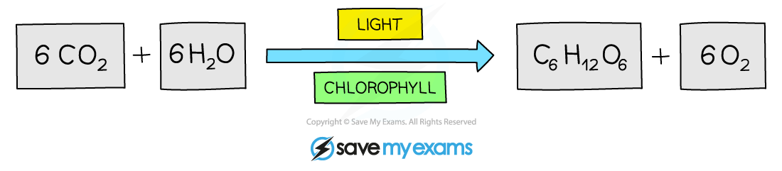 Balanced chemical equation for photosynthesis