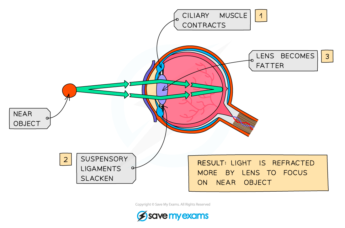 Focusing on a near object