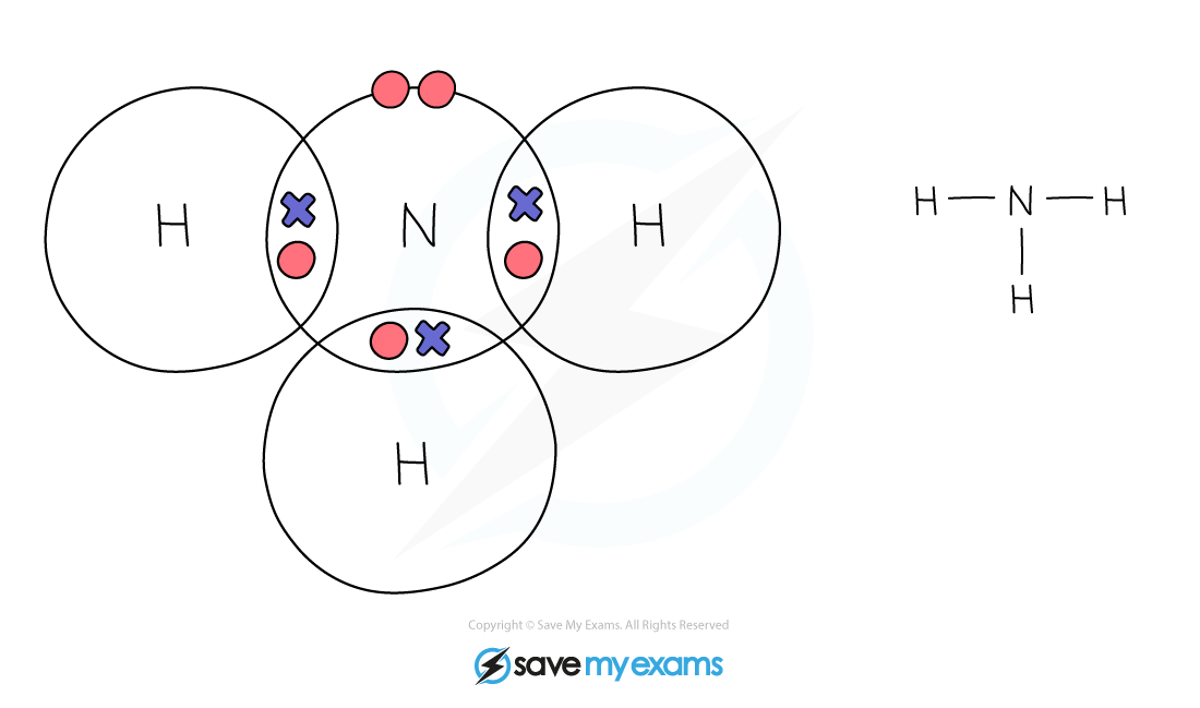 Dot & cross Ammonia, IGCSE & GCSE Chemistry revision notes
