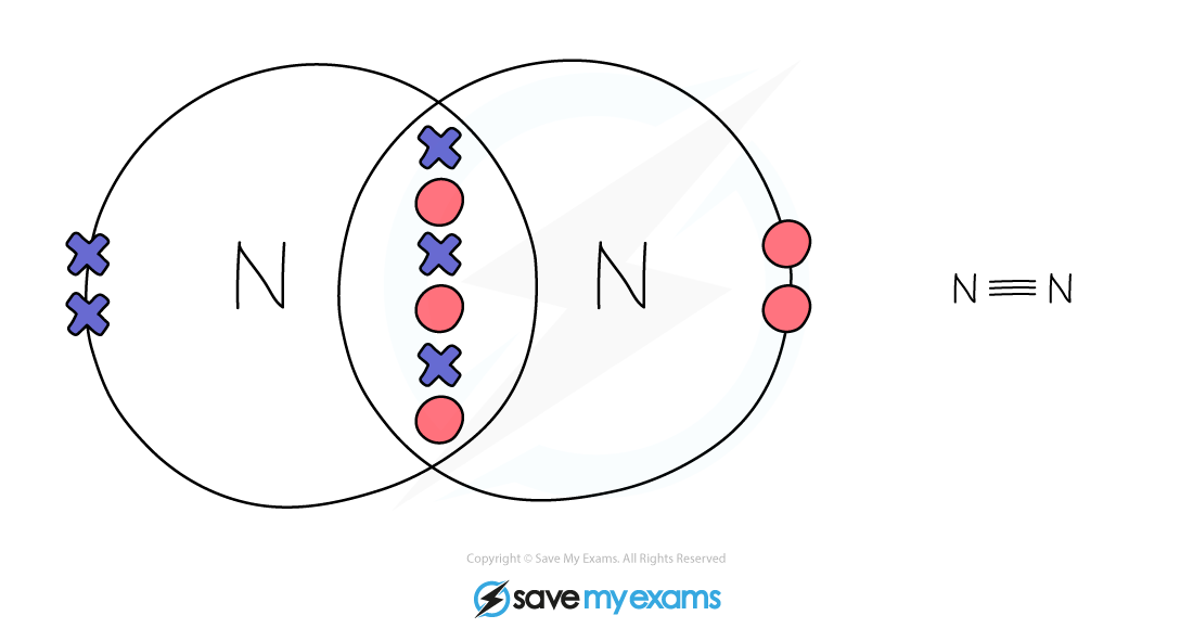 Dot & cross Nitrogen, IGCSE & GCSE Chemistry revision notes