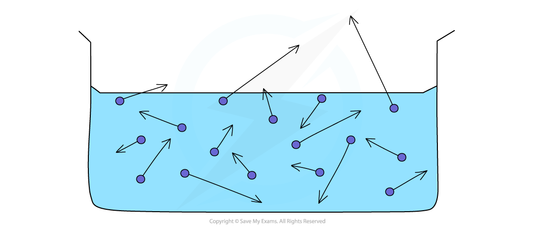 Evaporation, IGCSE & GCSE Physics revision notes