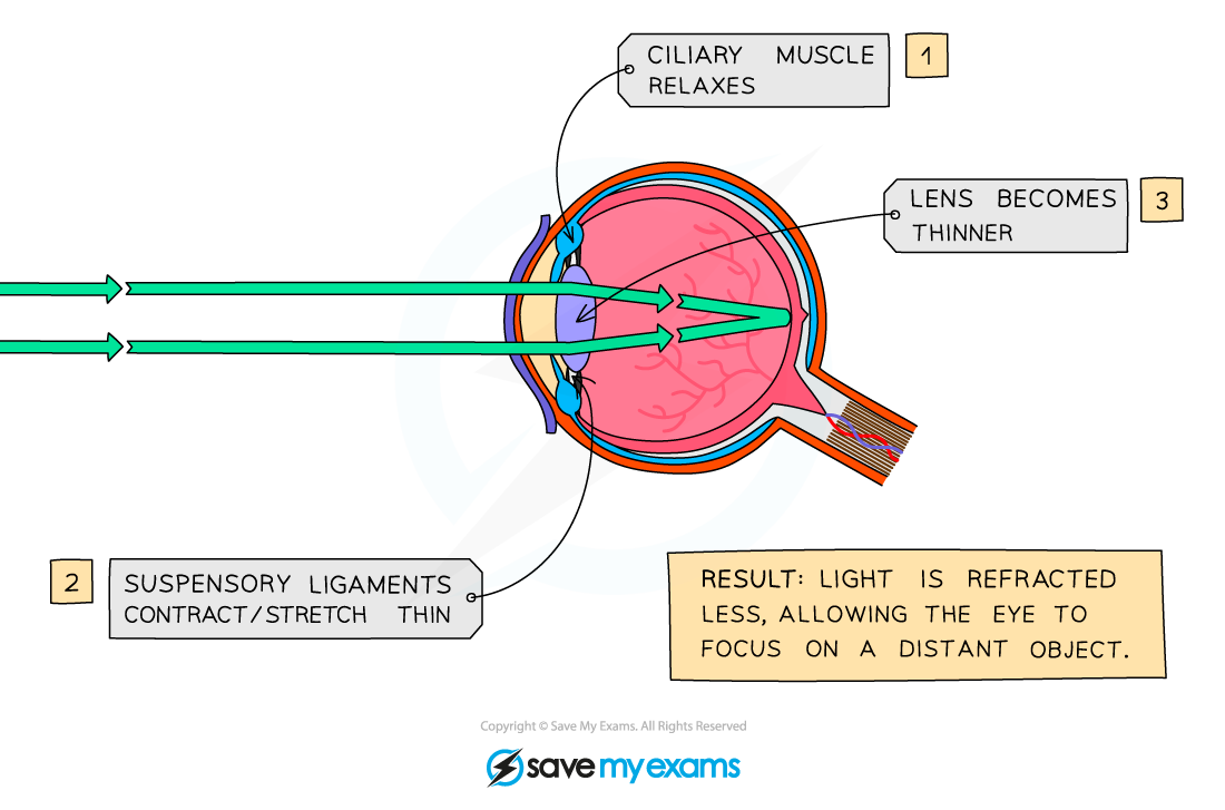 Focusing on a distant object
