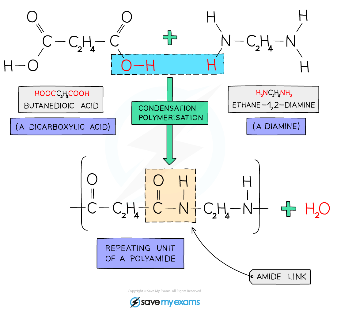 Forming-Nylon, IGCSE & GCSE Chemistry revision notes