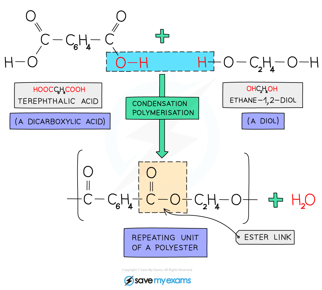 Forming-Terylene, IGCSE & GCSE Chemistry revision notes