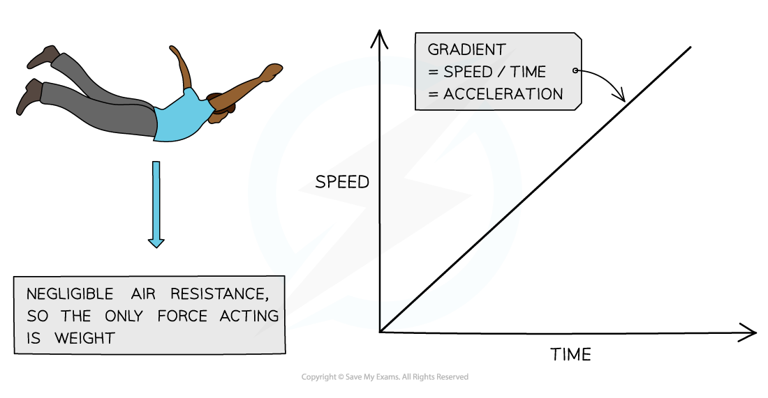 Freefall graph, IGCSE & GCSE Physics revision notes