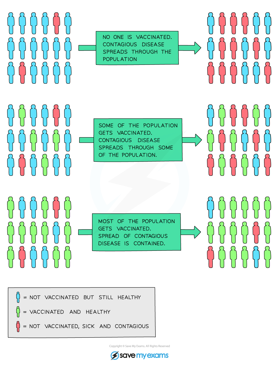 Herd immunity