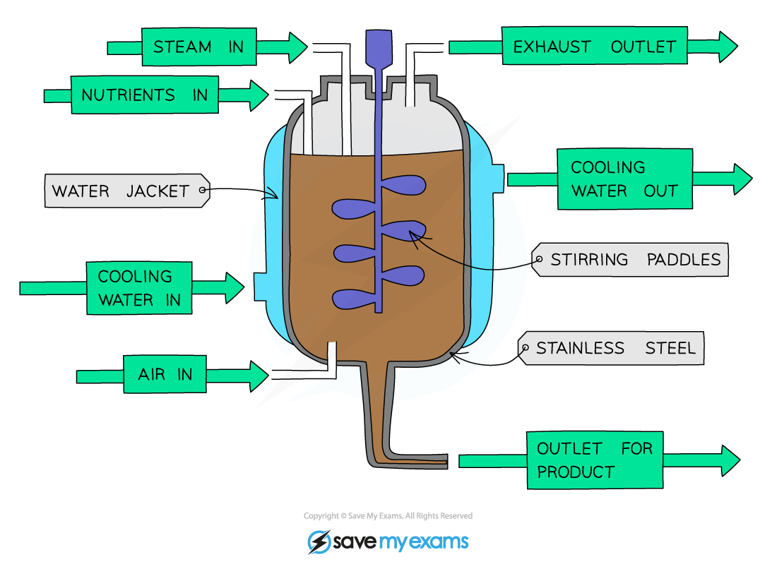 Industrial fermenter, IGCSE & GCSE Biology revision notes