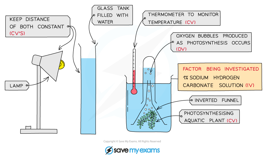 Investigating the effect of changing carbon dioxide concentration on the rate of photosynthesis