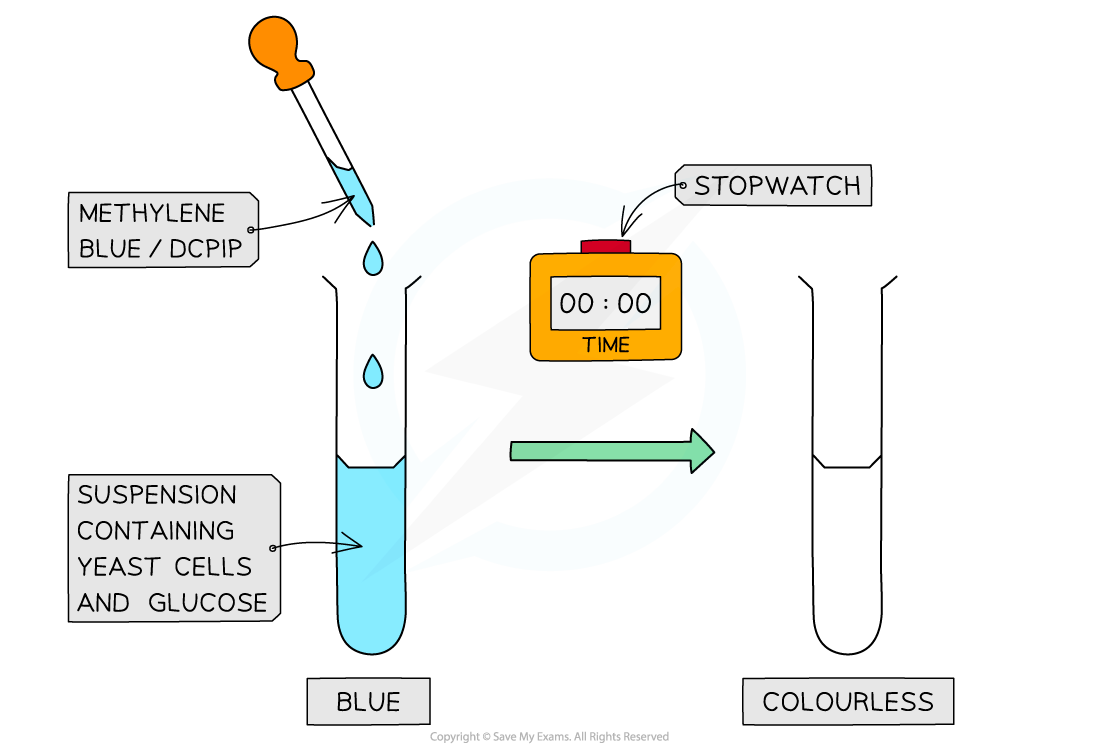 Methylene blue colour change