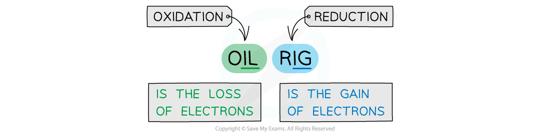 OILRIG, downloadable AS & A Level Biology revision notes