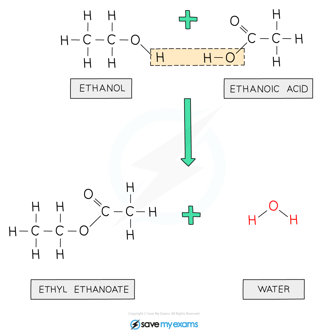 Preparing-Ethyl-Ethanoate_, IGCSE & GCSE Chemistry revision notes