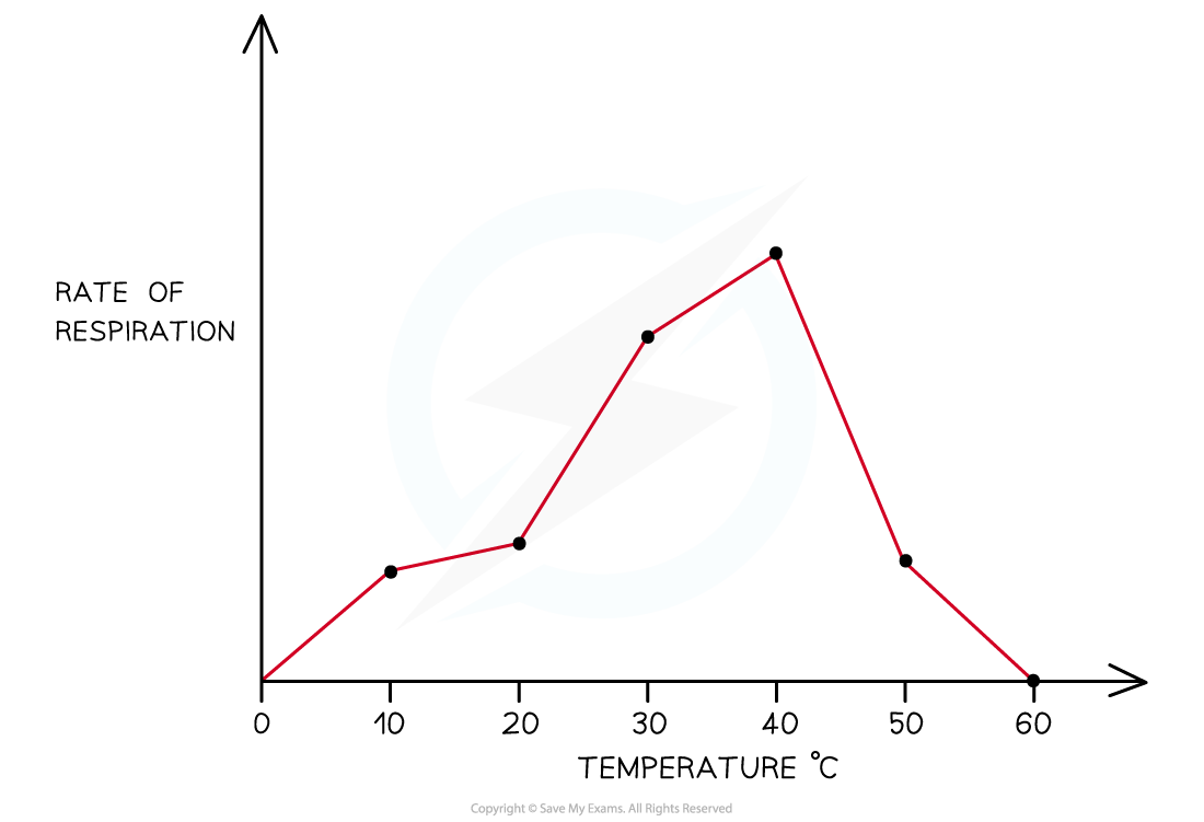 Rate of Respiration and Temperature graph
