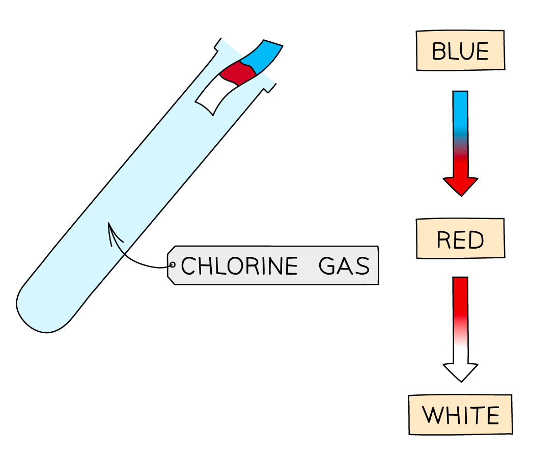 Test for Chlorine, IGCSE & GCSE Chemistry revision notes