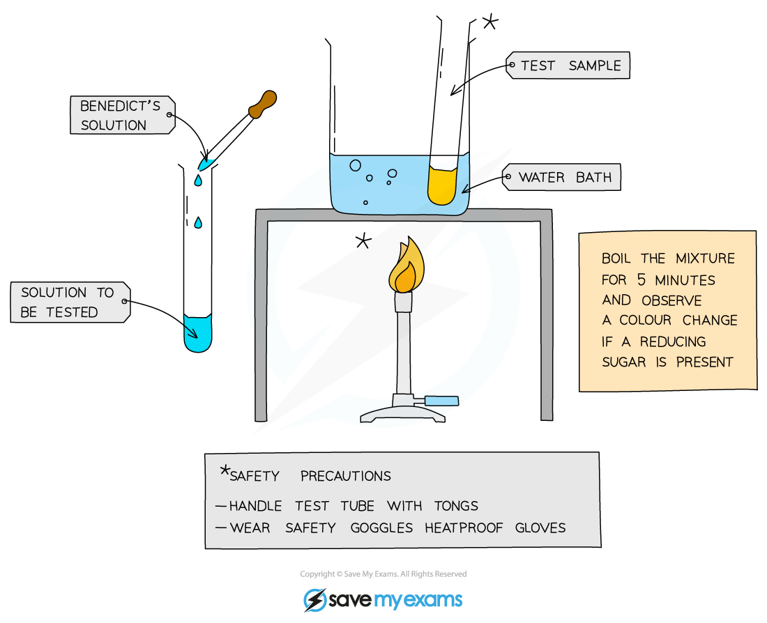 The Benedict's test for glucose