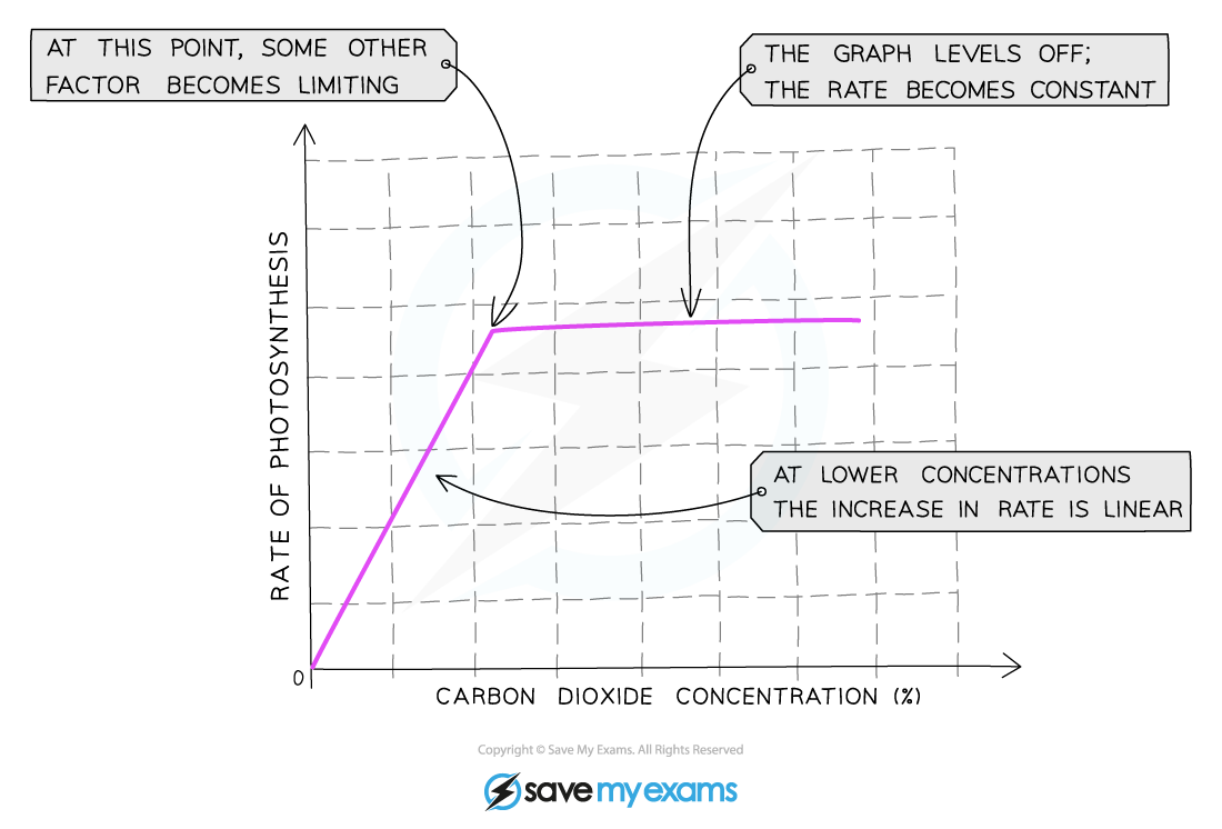 The effect of carbon dioxide concentration on the rate of photosynthesis graph