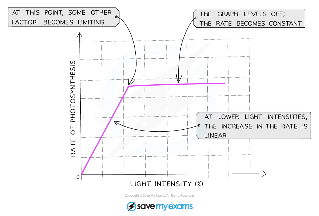 The effect of light intensity on the rate of photosynthesis graph