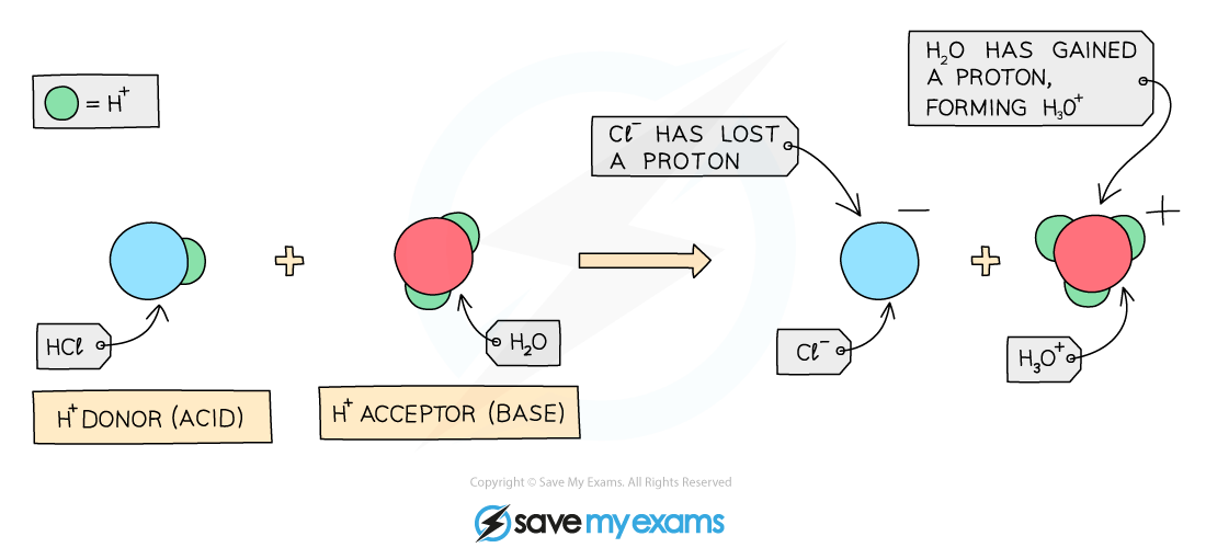 Transfer of protons in reaction between acid & base, IGCSE & GCSE Chemistry revision notes