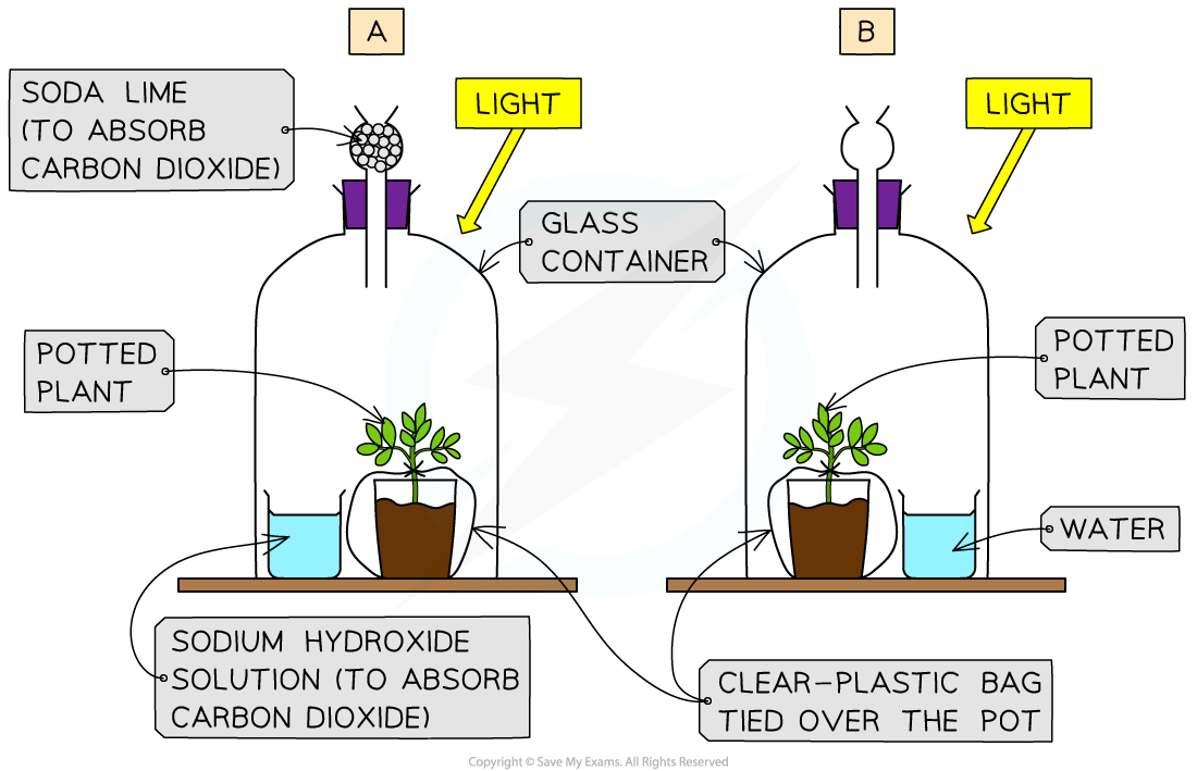 The experimental set-up to show that plants need carbon dioxide for photosynthesis