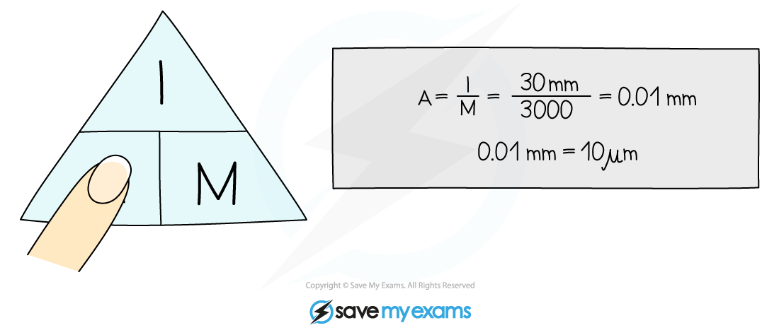 Worked Example Using Magnification Equation