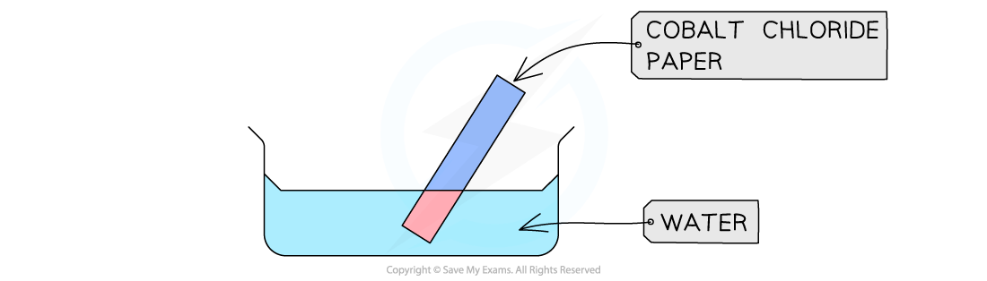 eFKSRmiO_10-1-1-cocl2-test