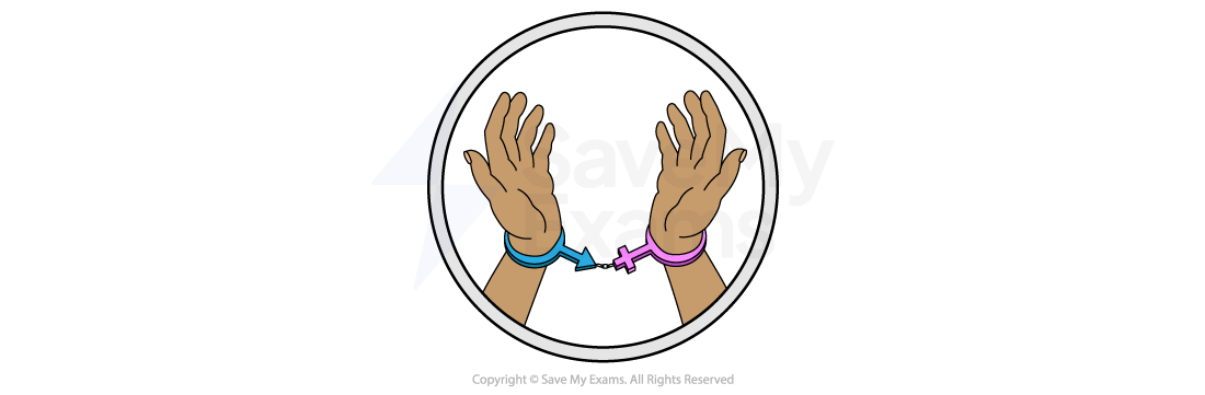 Theme symbol for gender roles: two raised hands joined by broken handcuffs marked with male and female symbols.
