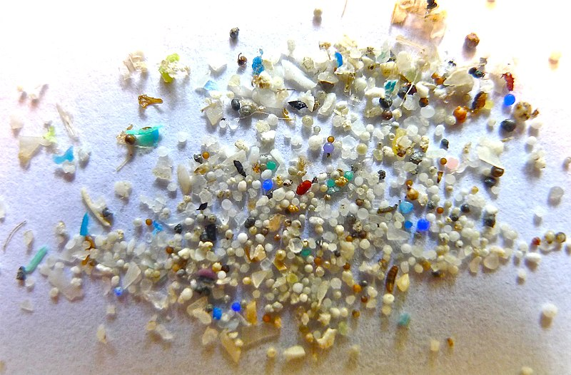 microplastics found in the ocean