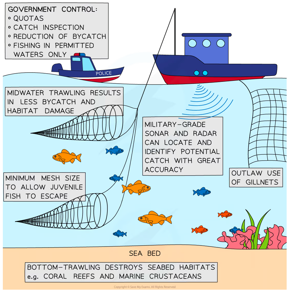 sustainable-fishing-techniques